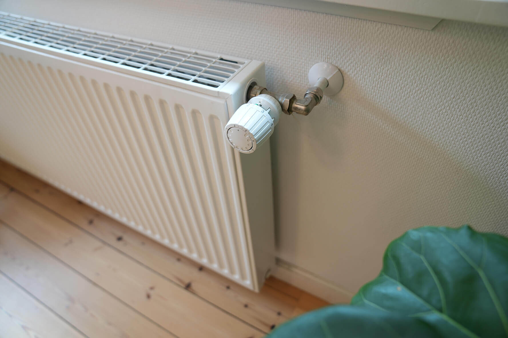 Termostat på radiator, med en grøn plante ved siden af